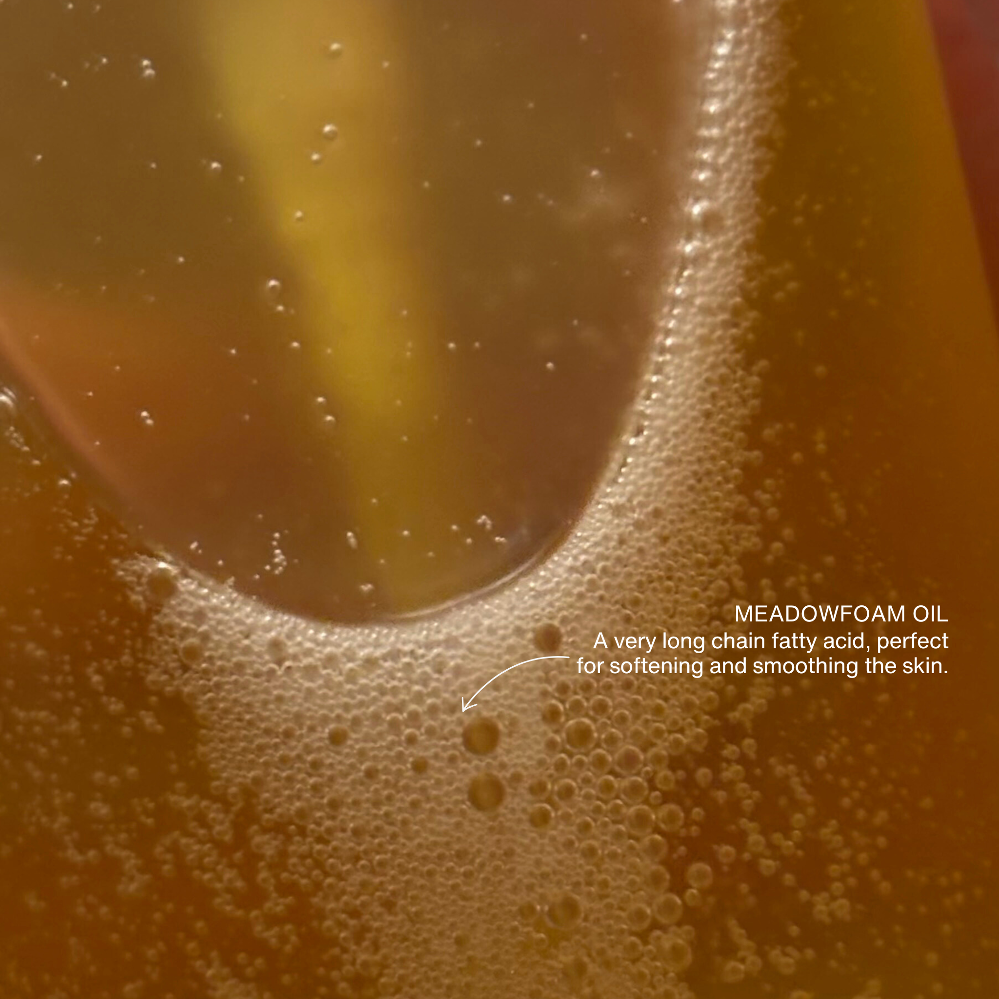 COLE_Skin_Nourishing_Shower_Oil_2.png