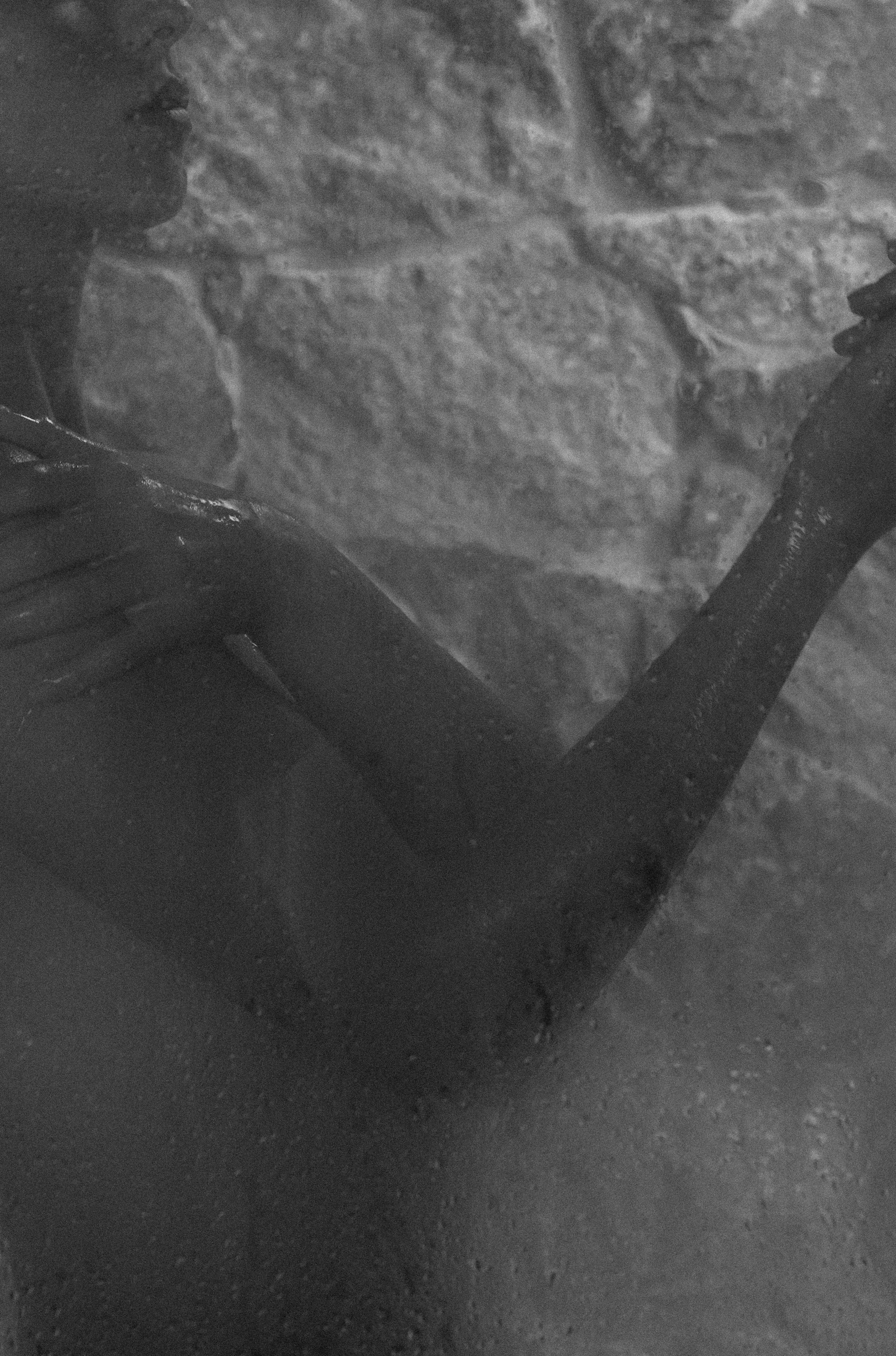 COLE_Skin_Shower_Oil_11.jpg