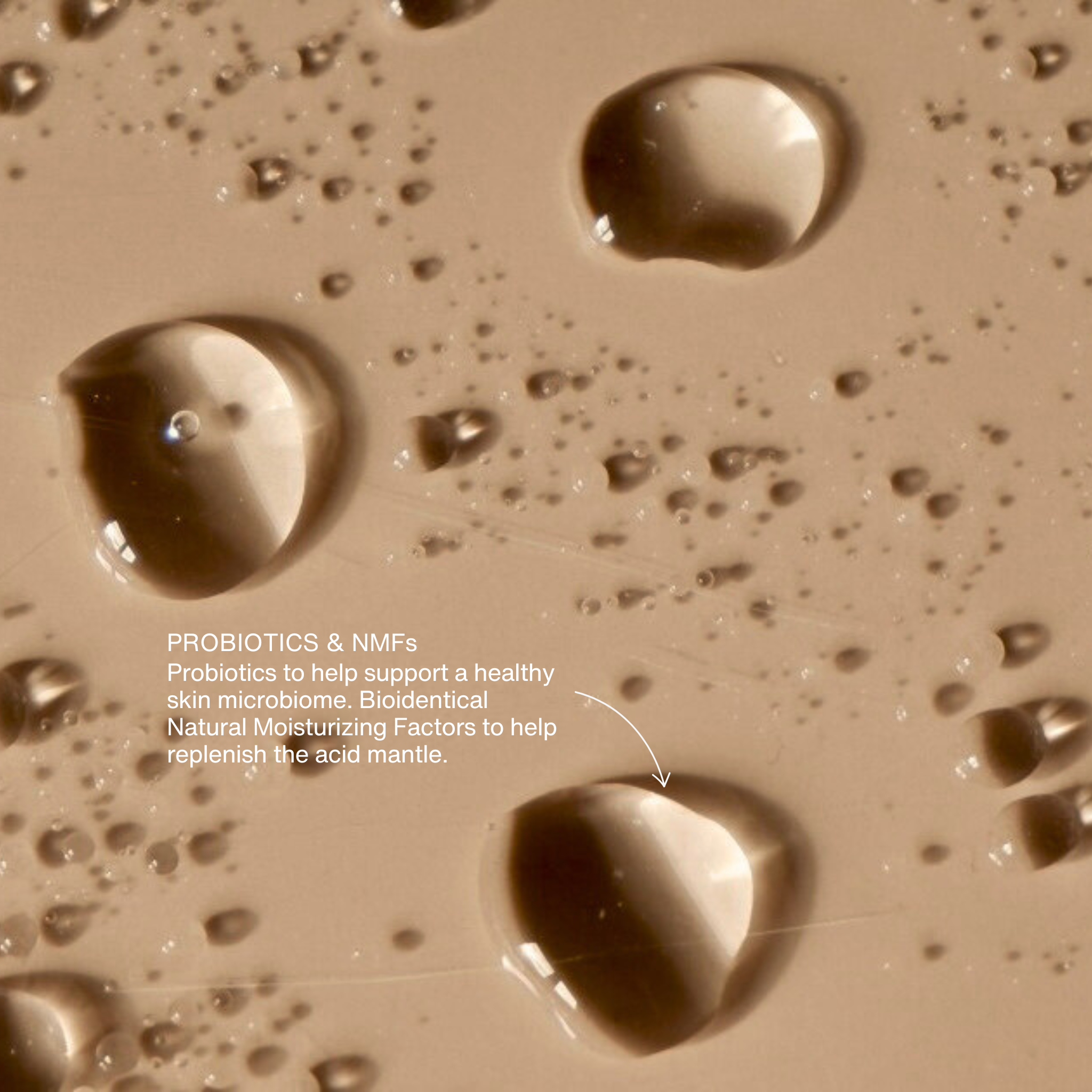 COLE Skin & Supplements - Barrier Protection Essence