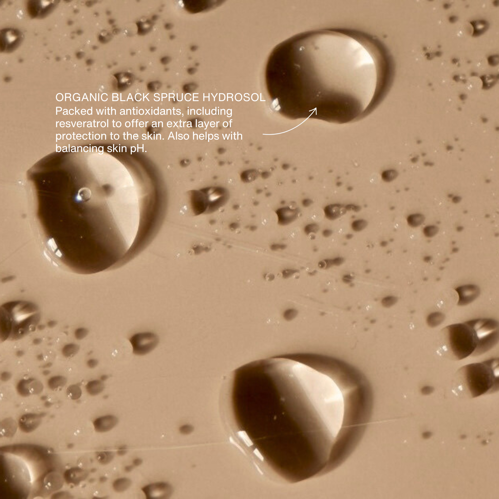 COLE Skin & Supplements - Barrier Protection Essence