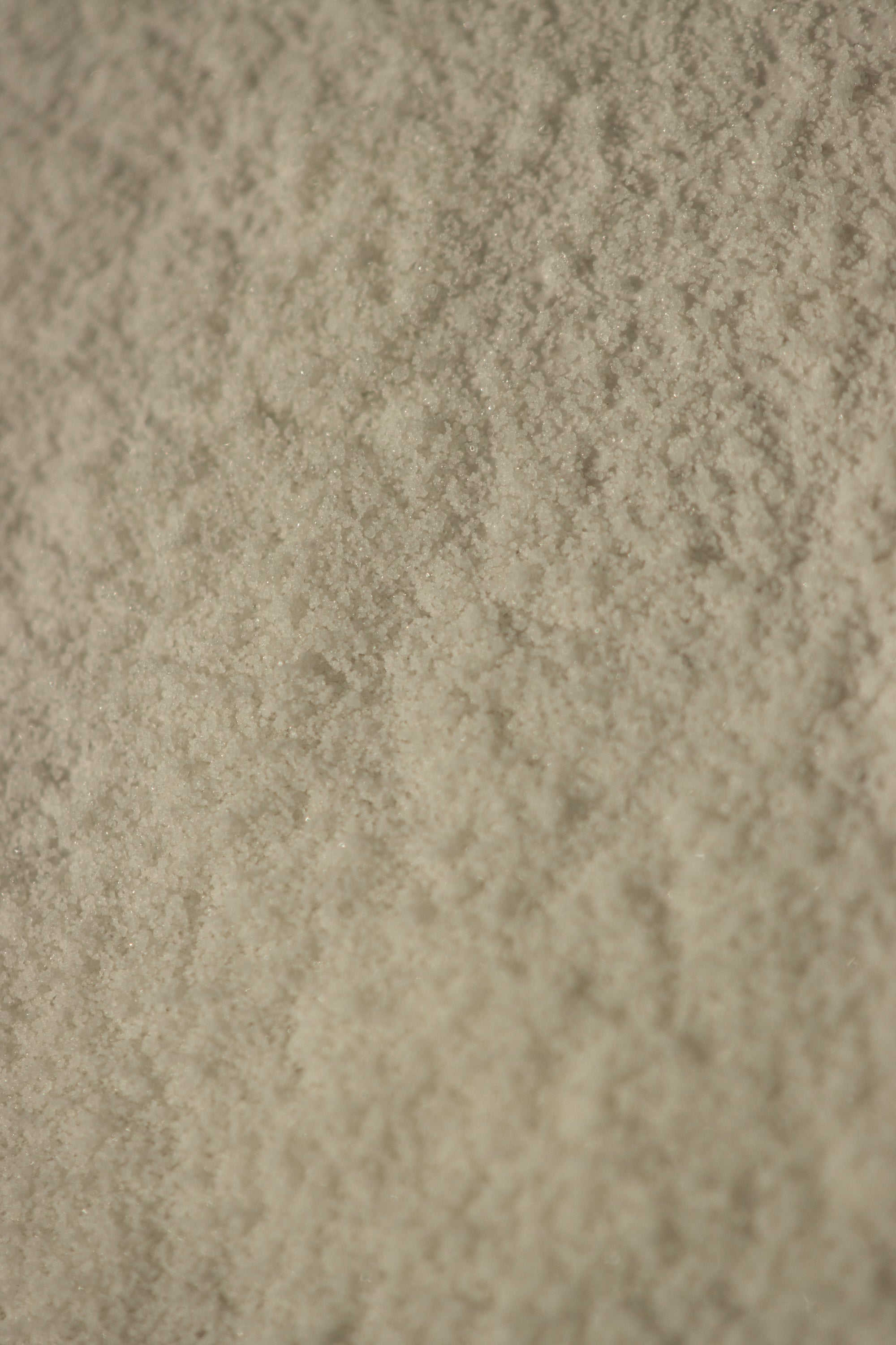 Close-up of marine collagen texture