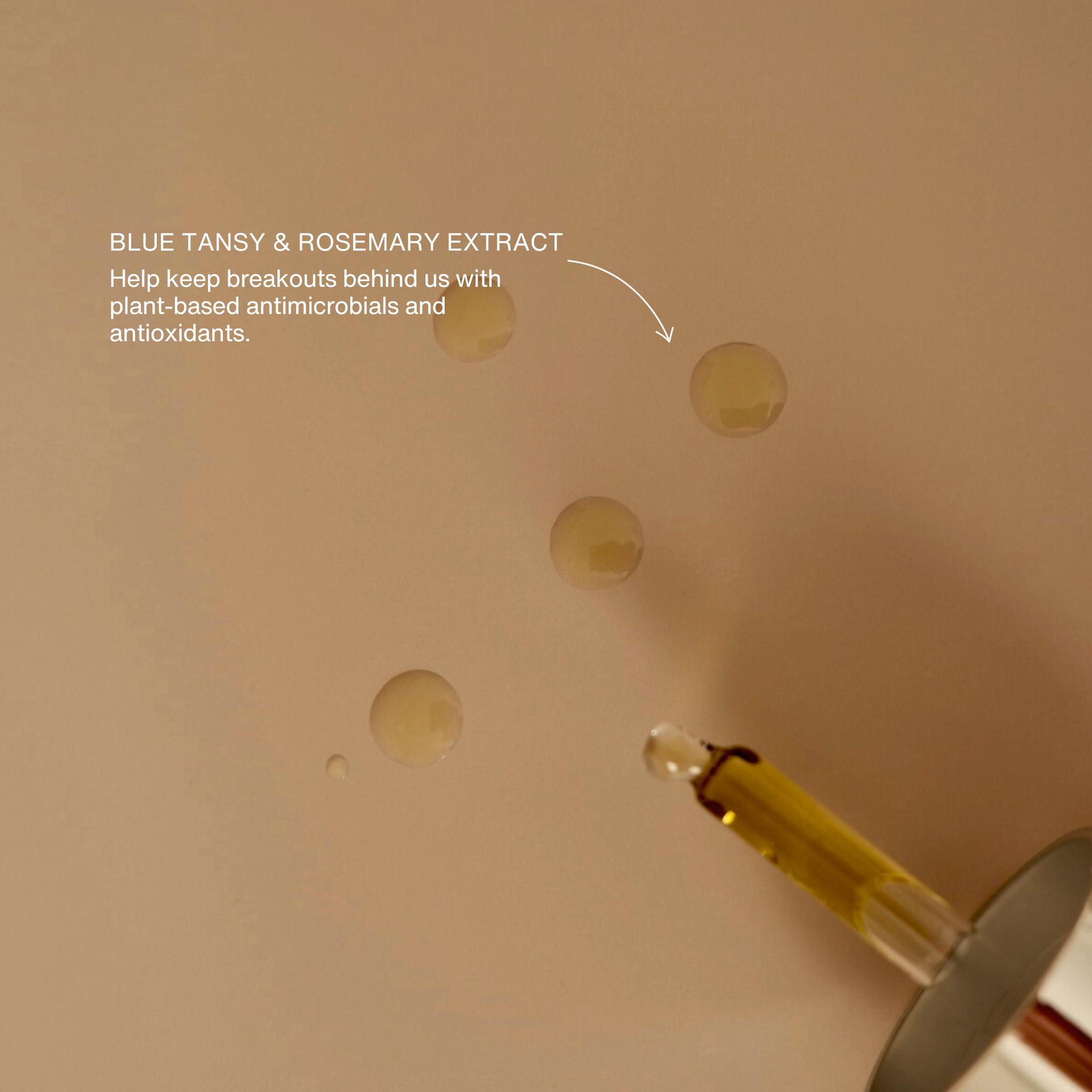 COLE Skin & Supplements - Face Oil