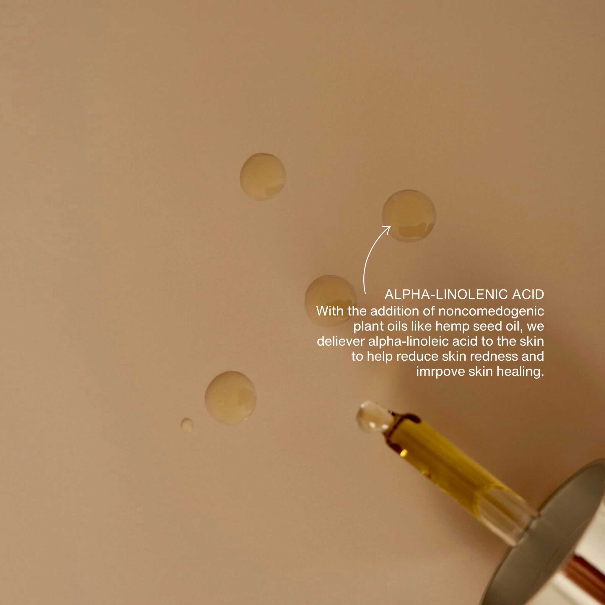 COLE Skin & Supplements - Face Oil