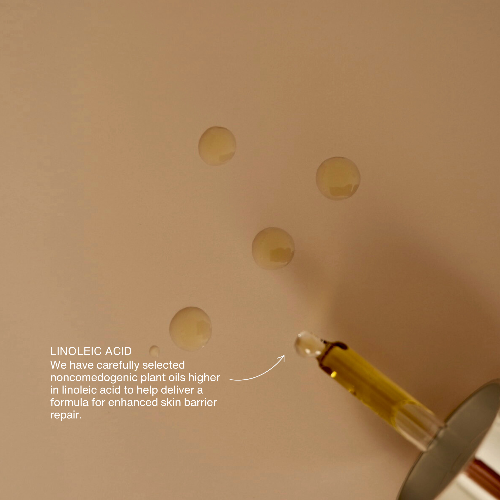 COLE Skin & Supplements High Linoleic Acid Face Oil