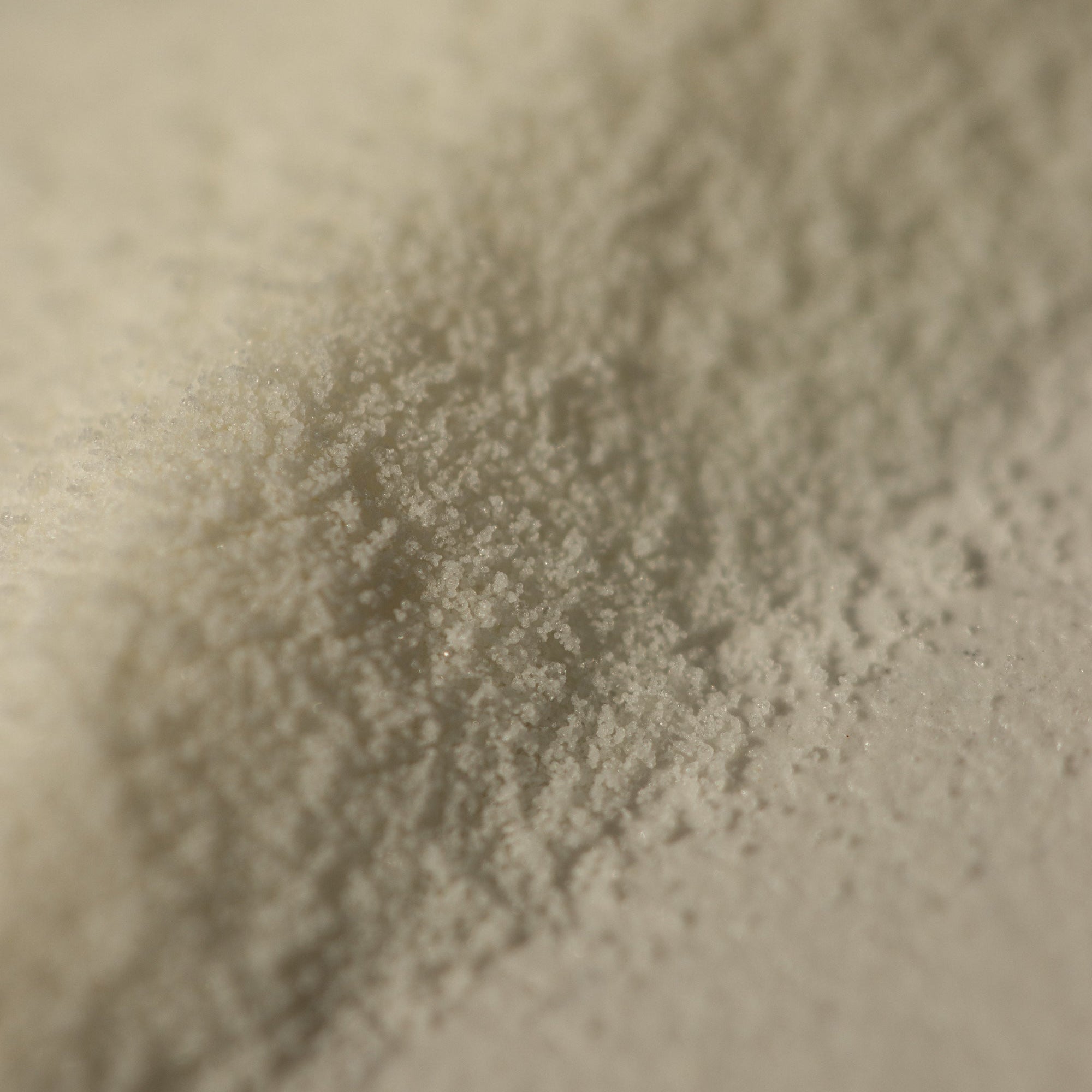 Close-up of marine collagen texture